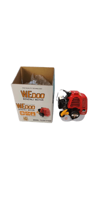 TF900 Çıplak Motor